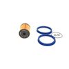 Bosch Automotive F3020 - Benzinfilter Auto
