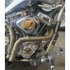 Sexy Hot Aluminum Skull Evo Evolution Points Timing Cover for Harley Davidson
