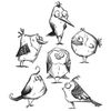 Stampers Anonymous CMS-212 Crazy Bird Mounted Stamp, Red, Gray, 7 x 8.5"