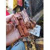 West Virginia Sassafras * Potent FRESH Dug Red Root* 1 Pound