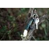 Olight I3E EOS Dream Blue EDC Keychain Waterproof LED Flashlight, 90 Lumens