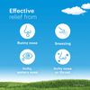 Claritin Non-Drowsy Reditabs, 10 tablets