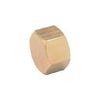 asoh Hex Cap PT1/4 nc1002