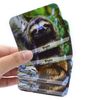 Menique, Wild Animals, Memory Matching Game