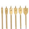 Silverline DS32 Titanium-Coated Flat Bit Set 6pce 10 - 32 mm
