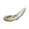 Picalay Burnish Clay Pack Forest Set of 2