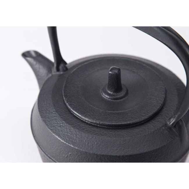 Japanese Nambu Tekki Cast Iron Kettle Lg