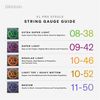 D'Addario EPS540