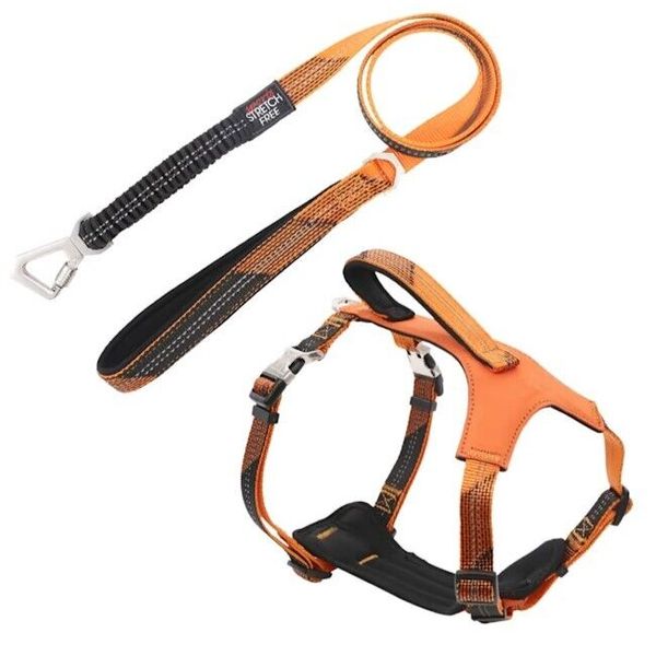 Pet Life Shock Absorbing Neoprene Padded Reflective Dog Leash & Harness, Orange