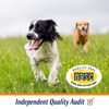 Dog Multi Vitamins Supplement Support Overall Wellness All Stages, 90 Chewables