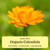 Moon Valley Organics Herbal Ointment with Calendula, Goldenseal and Propolis, Moisturize and Soothe Cuts and Burns, Healing Balm, 1.7 Ounces