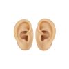 ideastore Ear Model, Silicone, Binaural, Acupuncture, Suture, Practice, Dummy, Left and Right Set (2)