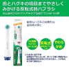 Gum Periodontal Pro Care Electric Toothbrush, Replacement Brush, SP01 x 2 Pieces (x1)