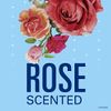 Secret Clear Gel Antiperspirant and Deodorant, Rose Scent, Single Pack, 2.6 Oz.