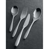 Joel Robuchon Selection Demitasse Spoon SAS-05
