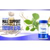 Vivalis Advanced Vitality Support Supplement Maximum Strength Formula 120 Pills