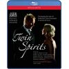 Twin Spirits: Sting performs Schumann [Blu-ray]