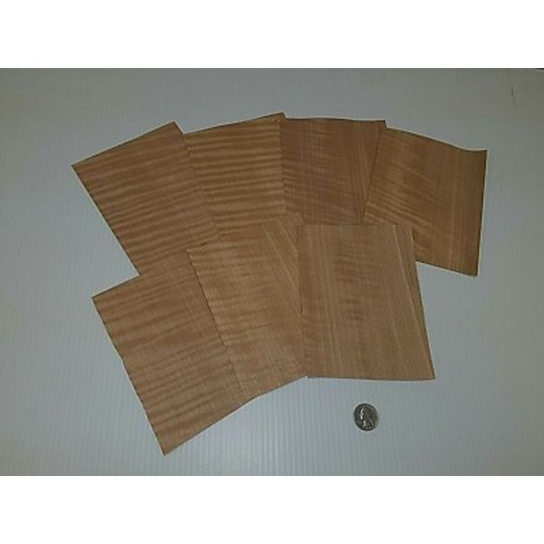 1 Lot Of 7pcs Curly Figured Fiddleback Anigre Raw Veneer Shorts, Lot #64