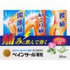 【指定第2類医薬品】ペインサール顆粒 30包