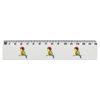 'Cute Parrot' 15cm (6 Inch) White Plastic Ruler (RL00092355)
