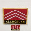 Glamorgan UK County Flags Badges Iron Sew on Embroidered Patch Small | Large (Small)