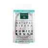 EARTH THERAPEUTICS Pumice Stone with Brush, 1 EA