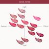 [Dint] Blur Glowy Lip Tint (208 Bonum, OS)