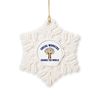 CafePress Social Work Quote Snowflake Ornament, 3.5"x3.5"
