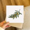 'Olive Branch' Blank Greeting Card (GC00047599)