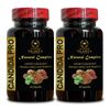CANDIDA SUPPORT COMPLEX - oregano leaf fresh, organic anise seeds, Balance - 2B