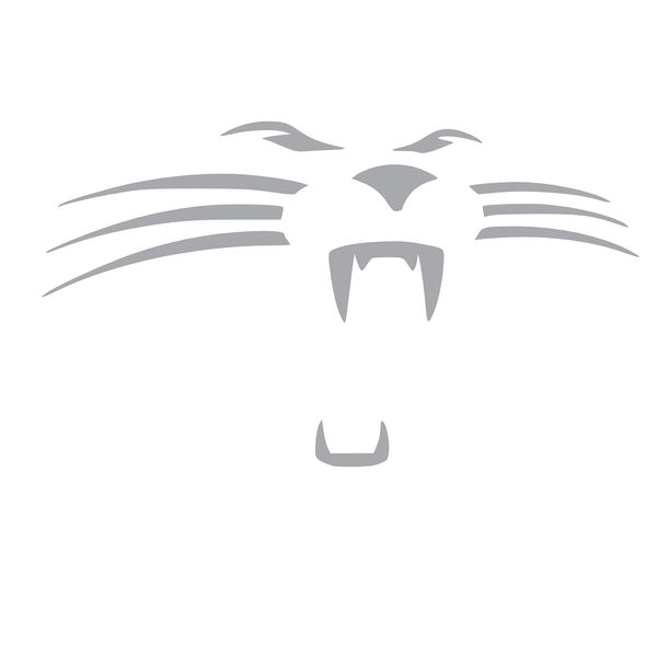 Panthers Face Vinyl Sticker Decal (4" x 2.5", Silver)