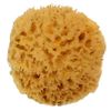 Natural Sea Wool Sponge 4-5" by Spa Destinations ® Amazing Natural Renewable Resource"Creating The in Perfect Bath and Shower Experience"