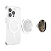 Stunning Tabby Cat Close Up Portrait Vector Isolated PopSockets PopGrip for MagSafe